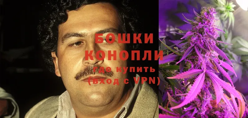 Бошки марихуана Ganja  Владикавказ 